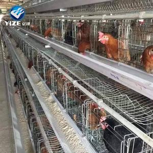 Gabbie di progettazione del pollaio che posa le galline brasile hanno saldato la gabbia 96-160 polli elettro zincato o la immersione calda ha galvanizzato le aziende agricole YZ--0004 - Product Image 3