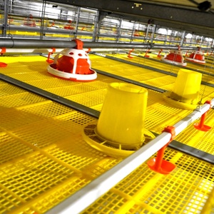 Nuovo sistema di uscita della gabbia della griglia anticollisione | Alta produttività del materiale zincato a caldo della macchina di scarico del pollame sicuro - Product Image 6