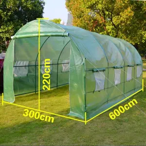 winter season backyard outdoor plastic frames portable garden tunnel home use small walk in polytunnel greenhouse for sale