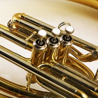 Brasswind Instruments Sousaphone