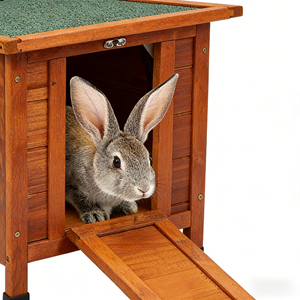 בית חיות מחמד מודרני בצבע כתום בהיר, עמיד בפני מזג אוויר, מעץ מלא, לחתולים וכלבים, כלוב ארנבות מוגבה חיצוני/פנימי עם רמפה. - Product Image 6