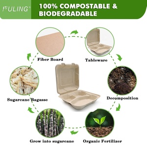 Boîte à clapet en bagasse FULING 8x8 9x9 pouces, compostable, biodégradable, <span class=keywords><strong>jetable</strong></span>, sans PFAS, pour la restauration - Product Image 5