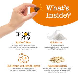 OEM/ODM 90ct agnello aromatizzato per l'allergia al cane sollievo mastica i probiotici per le orecchie pruriginose zampe integratore sanitario ottimale per animali domestici - Product Image 4