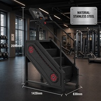 VIGFIT Appareil de cardio-training pour la musculation, simulateur d'escalade LED, vente en gros