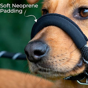 Collier <span class=keywords><strong>anti</strong></span>-<span class=keywords><strong>aboiement</strong></span> pour chien, couvre-mâchoire durable en nylon réglable, <span class=keywords><strong>laisse</strong></span> pour chien pour promener les chiens en extérieur - Product Image 6