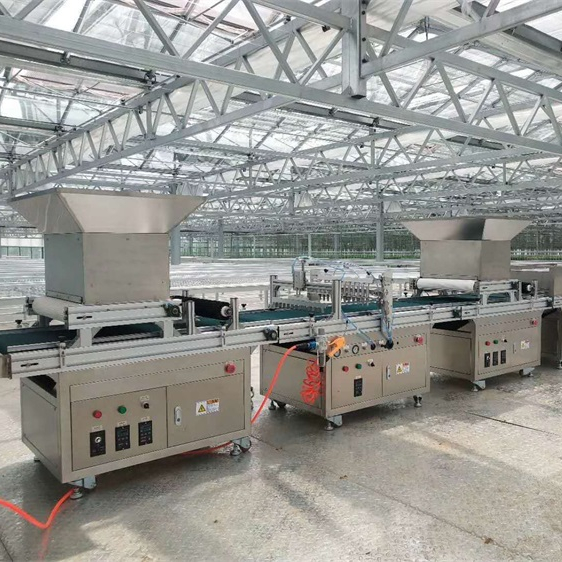 Дистрибьютор Цена лоток автомат для заливания постного Фруктовые Семена питомник рассада машина для продажи