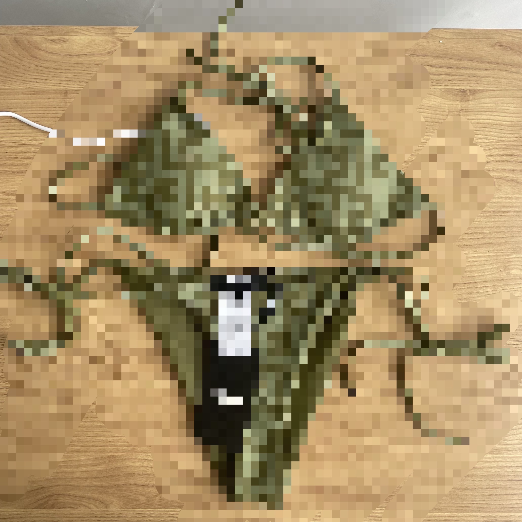 Vert