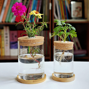 Terrario de Tubo de Vidrio en Oferta para Plantas Hidropónicas, Decoración del Hogar y Jardín, y Exhibición de Esquejes de Plantas en Escritorio - Product Image 2