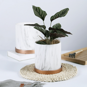 Maceta de orquídeas y mariposa nórdica, cerámica creativa de lujo, <span class=keywords><strong>con</strong></span> bandeja, gran oferta - Product Image 1