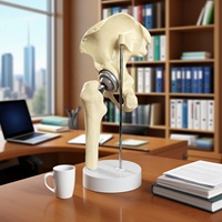 Implant de hanche, remplacement d'articulation artificielle, taille réduite, os artificiel certifié CE/ISO