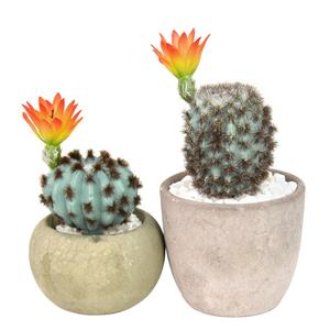 Nouveau Style Mini Faux Ball Cactus <span class=keywords><strong>Plante</strong></span> Succulente Artificielle pour la Décoration de Table - Product Image 1