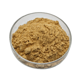 Лидер продаж, натуральный экстракт <span class=keywords><strong>Tribulus</strong></span> <span class=keywords><strong>Terrestris</strong></span>, 20% 40%, 90% <span class=keywords><strong>Tribulus</strong></span> <span class=keywords><strong>Terrestris</strong></span>, порошок сапонинов - Product Image 3