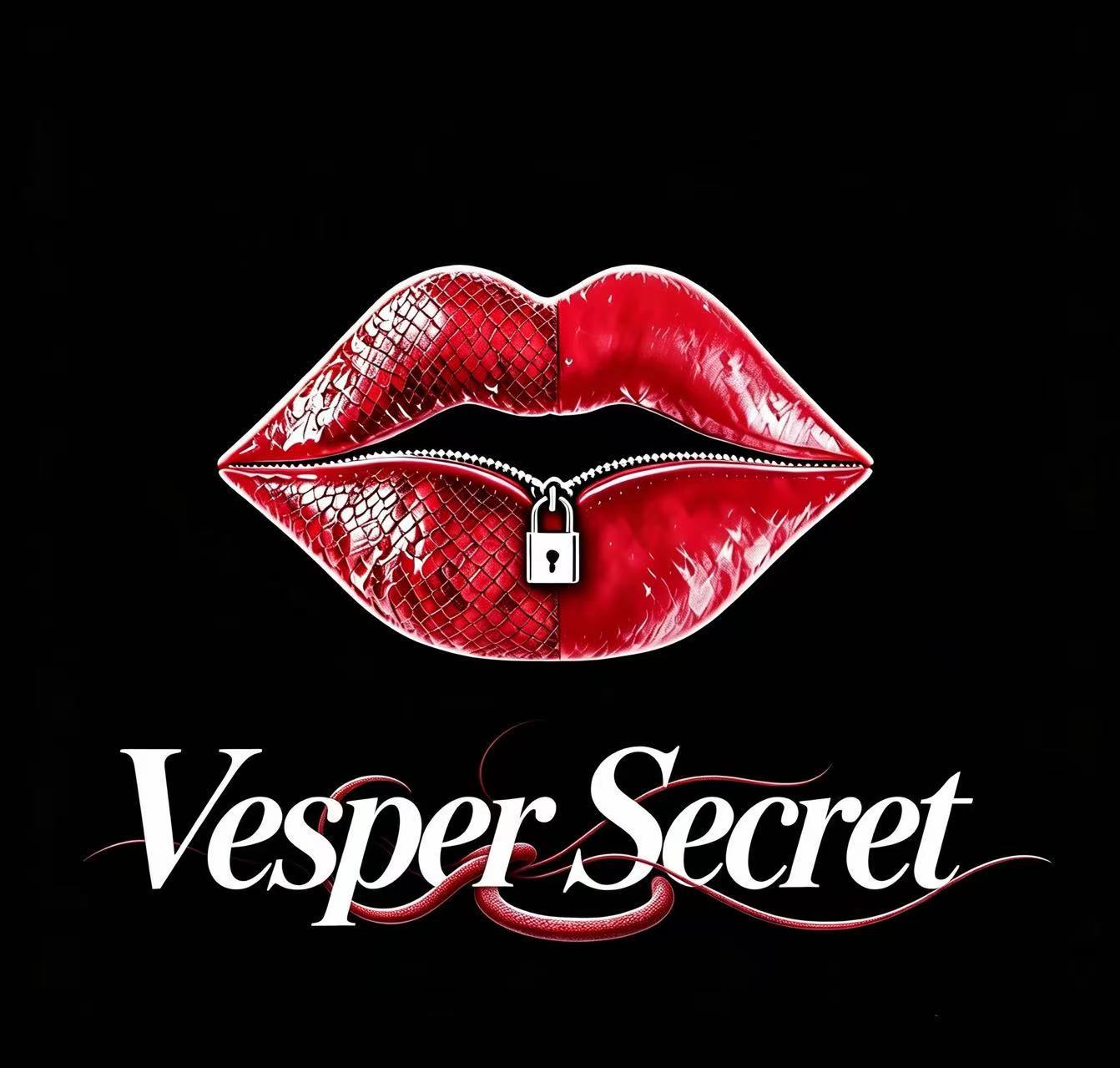 Yiwu Vesper Secret E-Commerce Firm (individual Business) logo