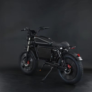 Bicicleta Eléctrica de Montaña Birui 2026, Gran Oferta en EE. UU., UE y Reino Unido, Modelo BR01 de 20 Pulgadas, Suspensión Completa, Motor de 1000W en la Rueda Trasera, Bicicleta Urbana - Product Image 1