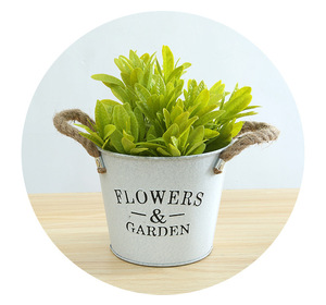 P75手柄仿古铁仙人掌锅铁复古盒经典花盆桶法式花架金属花桶 - Product Image 4