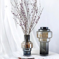 Vase en verre transparent de style nordique, dégradé ambre, pour fleurs hydroponiques, décoration d'intérieur, forme géométrique, série spirale