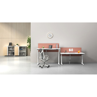 Bureau de levage stable professionnel bureau à moteur unique Tables à hauteur réglable électrique bureau d'ordinateur debout