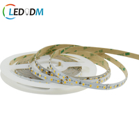 Bande LED Flexible Étanche IP68 10mm/8mm SMD2835 12V 24V 6000K 80/90 CRI Wi-Fi/Dimmable pour Décoration Maison et Fêtes
