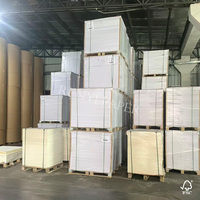Papier Spécial Haut de Gamme Blanc Offset Simple Face 75-140 g/m² Bobine Volumineuse 31 Pouces pour Impression de Livres – Prix Économique