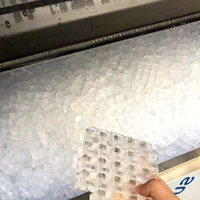 Máquina Industrial para Hacer Hielo en Escamas, Capacidad de 1000 kg, Compresor, Enfriamiento por Agua, Uso Doméstico y Comercial, Precio de Fábrica