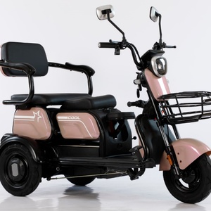 ขายส่งรถสามล้อไฟฟ้า 48V 500W ราคาถูก สำหรับผู้ใหญ่และผู้พิการ - Product Image 3