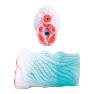 Giocattoli Sessuali in Silicone di Alta Qualità a Prezzo Conveniente, Vagina Artificiale Tascabile per Uomo - Product Image 1