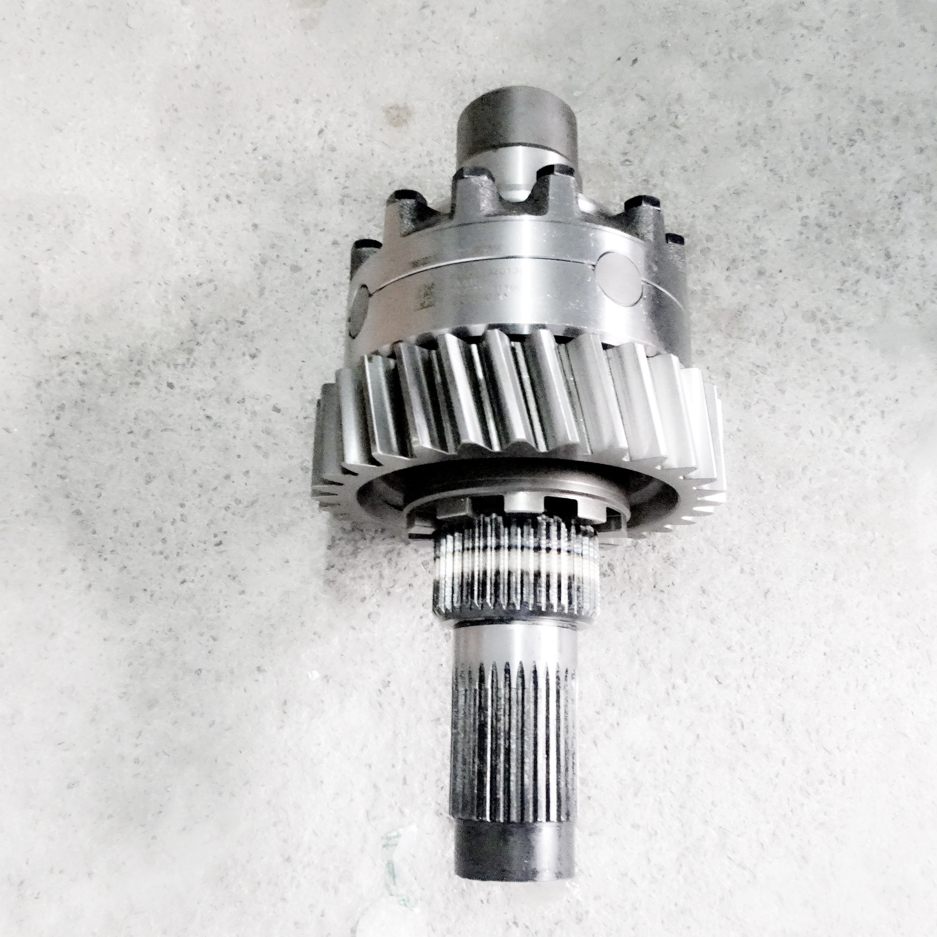 兜 Figurine Pokemon 1/40 Scale Real – tagged 