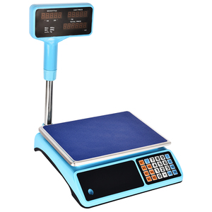 Hiệu Chuẩn Cân Cần Cẩu Kỹ Thuật Số 30 Kg 40 Kg - Product Image 3