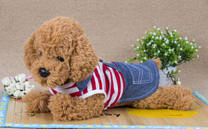 קיץ קלאסי, חצאית חשופה פסים, הלבשה כותנה חדשה עבור כלבים שסופקו ישירות על ידי היצרן - Product Image 6