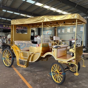 Chariot à Chevaux de Luxe pour Sites Touristiques, Très Demandé, Idéal pour les Promenades Romantiques dans les Jardins et les Chemins fleuris - Product Image 1