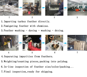 Trắng điểm Wing lông lông chọn 15-20cm giá rẻ tự nhiên guinea fowl lông cho trang trí - Product Image 5