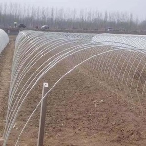 Herbruikbaar lage tunnelkas frame van glasvezelstangen voor rijafdekkingen - Product Image 2