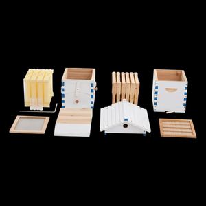 Colmena Automática Mini de Flujo Continuo en Perfecto Estado para Apicultura, Casa de Madera con 10 Cuadros - Product Image 6