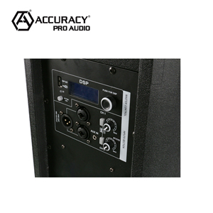 Precision Pro Audio CBE15D3 15 pouces, haut-parleur de fête karaoké portable actif, boîte de haut-parleurs amplificateurs alimentés professionnels - Product Image 5