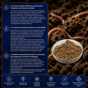 Agente Biologico Bacillus Mucilaginosus per il Miglioramento del Suolo, Fertilizzante Organico Solubile in Potassio, 10 Miliardi di Coloni, per l'Agricoltura - Product Image 3
