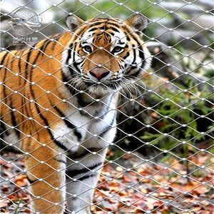 आउटडोर सुरक्षा नेट 6 सेमी जाल लचीला स्टेनलेस स्टील रस्सी जाल, बुना हुआ पशु पिंजरे जाल, पक्षी पिंजरे तार रस्सी सुरक्षा जाल - Product Image 4