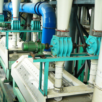 100-300T/24H entièrement automatique blé maïs maïs semoule riz rouleau farine rectifieuse moulin à farine Machine de traitement des grains