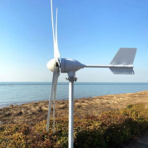Éolienne horizontale 1kW, prix direct usine, offre en gros à prix compétitif - Product Image 4