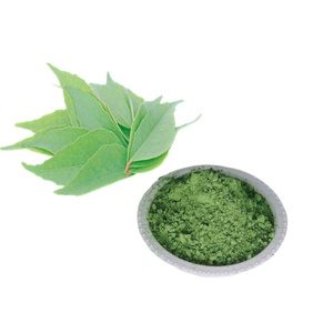 Poudre de feuilles de curry pour la cuisine, ingrédients naturels et biologiques, extrait d'herbes, poudre de feuilles de curry - Product Image 5