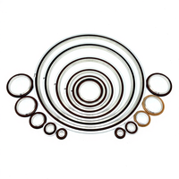 Joints d'étanchéité chimiques haute température NBR FKM EPDM Silicone, joint torique sur mesure pour cylindre pneumatique