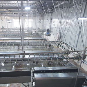 Qingdao Raniche Butchery Equipment Prices Cleaning Machine Conveyor Chicken Butcher - Product Image 6