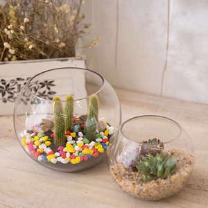 デスク水族館プラスチック製小型水槽クリアアクリルフィッシュボウル - Product Image 3