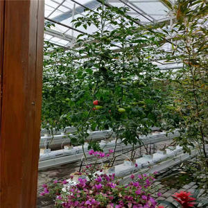 Grand cadre de serre hydroponique en acier galvanisé pour culture biologique motif rond avec film plastique pour l'agriculture - Product Image 2