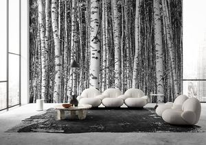 <span class=keywords><strong>Papier</strong></span> peint mural 3D effet brouillard forêt de bouleaux, autocollant, grand format, paysage naturel, pour hôtels et restaurants - Product Image 5