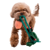 Jouet en corde de coton pour animaux de compagnie en pot, jouet de recherche et de cache-cache pour chien