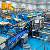 ENAK Automatische Hoge-Efficiëntie Productielijn voor de Verwerking van Geblikte Sinaasappels en Mandarijnen