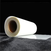 Film d'impression DTF PET en gros, 33 cm x 100 m, double face, pour transfert textile à chaud ou à froid