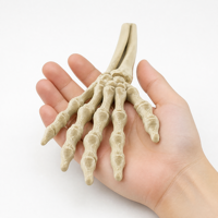 Main de squelette imprimée en 3D personnalisée, modèle de crâne humain haute précision, texture osseuse réaliste, décoration de bureau, support à bijoux