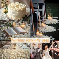 100% pétales de fleur de rose blanc pur naturel 20g pour confettis de mariage biodégradables naturellement dérivés de vrais pétales