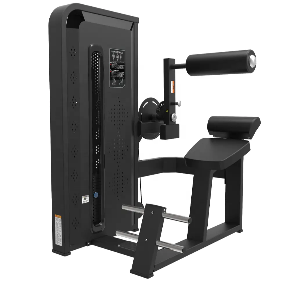 Machine d'extension arrière Bodybuilding Commercial Gym Equipment Pin Load Selection Machines JLC-HM05
